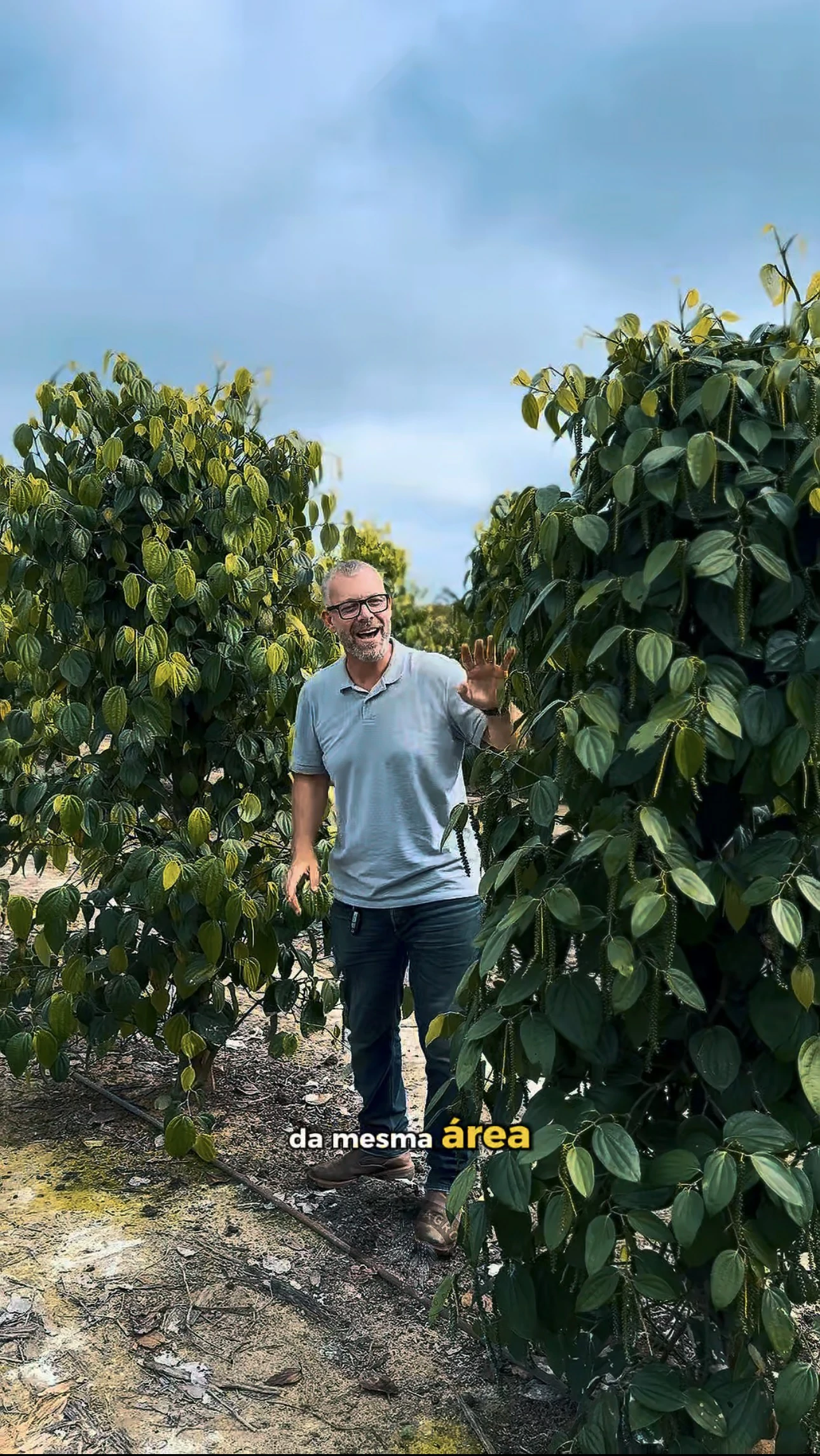 Experiência prática da Erasmo Agro no campo — imagem 29 de 38